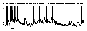 LaserAbstractFigure2001.gif